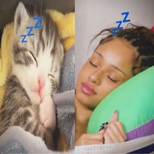 Meet your Posher, Silly